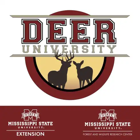 Deer University