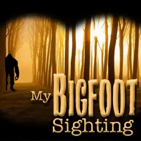 My Bigfoot Sighting