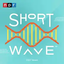 Short Wave